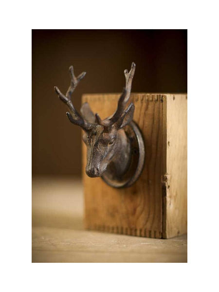 Cast Iron Mounted Buck