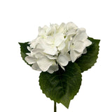Petite Garden Hydrangea 13" - White