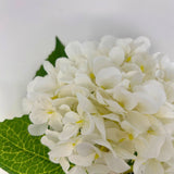 Full Garden Hydrangea Stem - White 21"